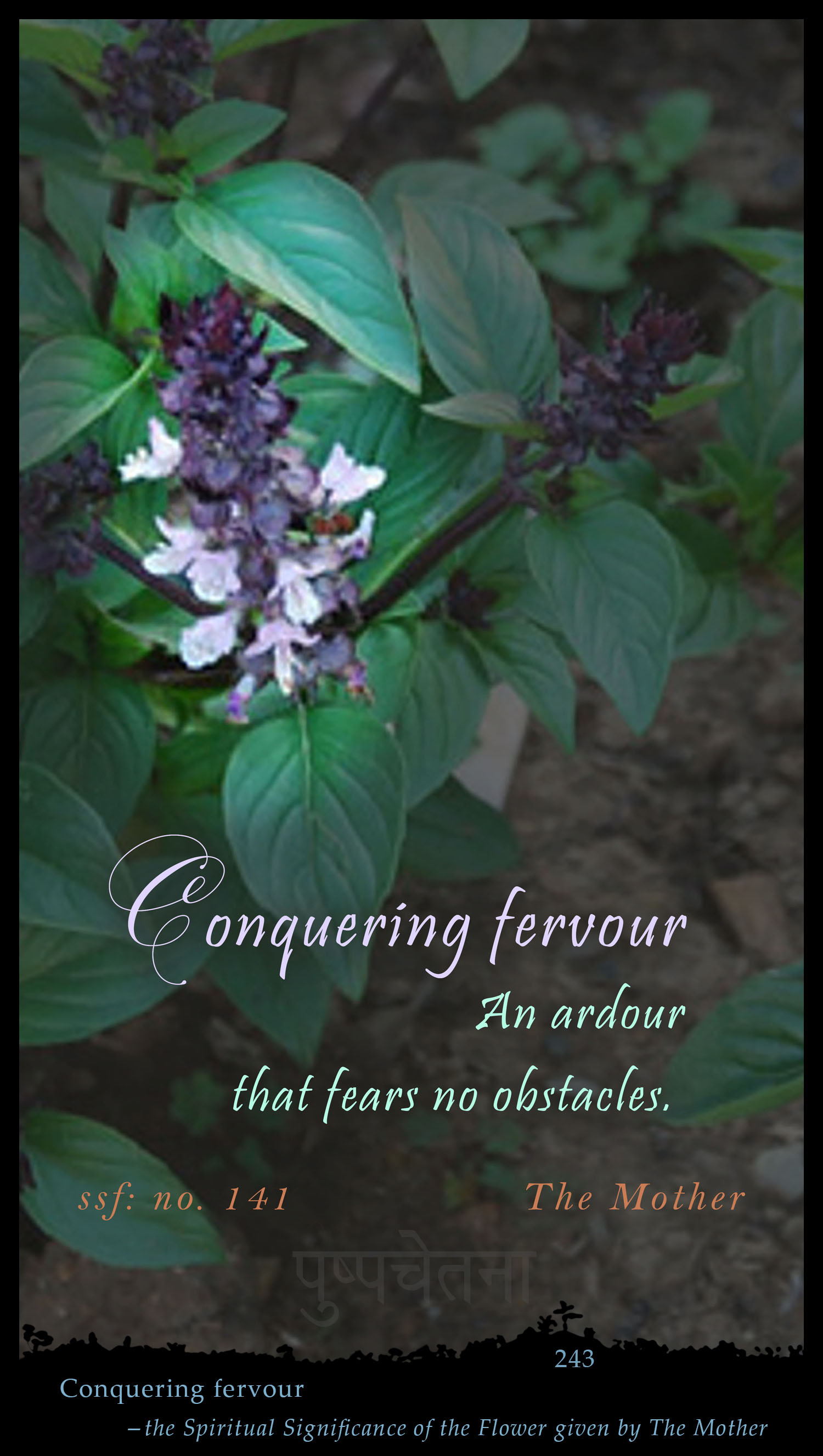 Conquering Fervour